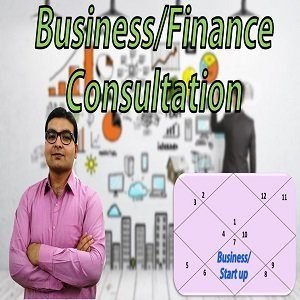 Business/Financial Consultation